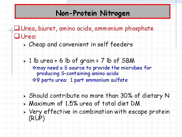 Non-Protein Nitrogen q Urea, biuret, amino acids, ammonium phosphate q Urea: Ø Cheap and