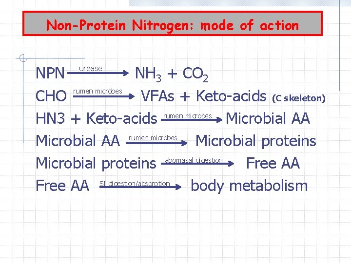 Non-Protein Nitrogen: mode of action NPN NH 3 + CO 2 rumen microbes CHO