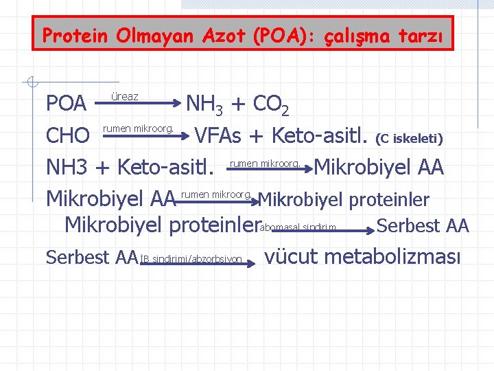 Protein Olmayan Azot (POA): çalışma tarzı POA NH 3 + CO 2 rumen mikroorg.