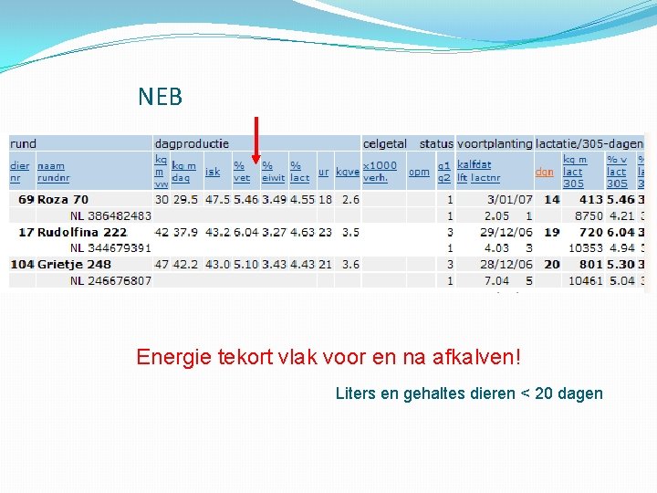 NEB Energie tekort vlak voor en na afkalven! Liters en gehaltes dieren < 20