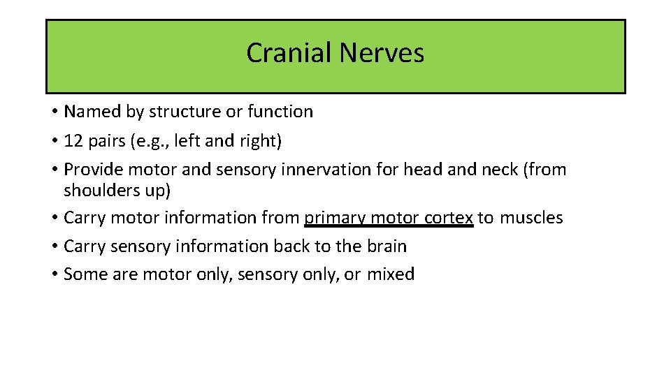 Cranial Nerves • Named by structure or function • 12 pairs (e. g. ,