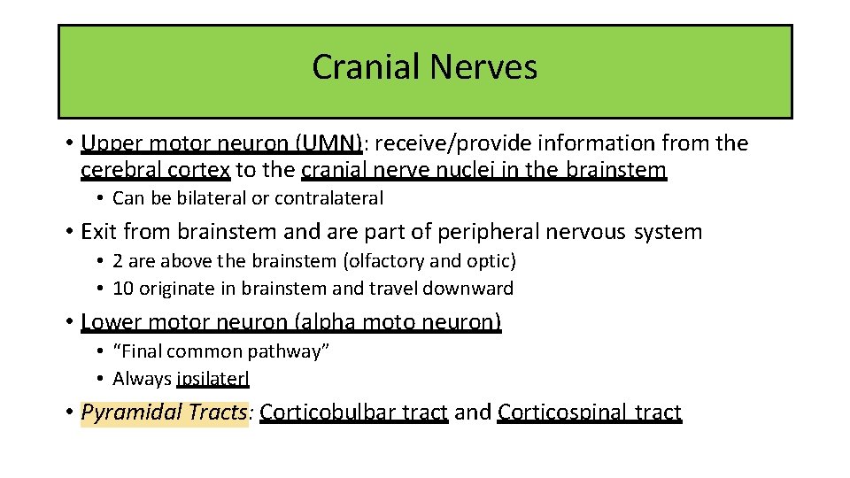 Cranial Nerves • Upper motor neuron (UMN): receive/provide information from the cerebral cortex to