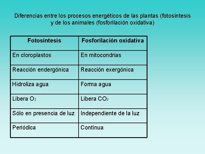 Diferencias entre los procesos energéticos de las plantas (fotosíntesis y de los animales (fosforilación