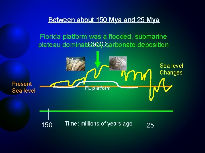 Between about 150 Mya and 25 Mya Florida platform was a flooded, submarine Ca.