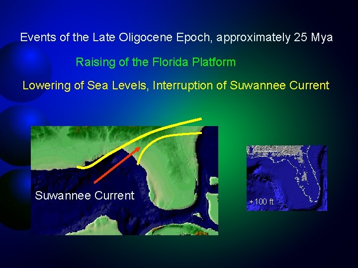 Events of the Late Oligocene Epoch, approximately 25 Mya Raising of the Florida Platform