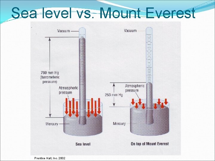 Sea level vs. Mount Everest Prentice Hall, Inc. 2002 