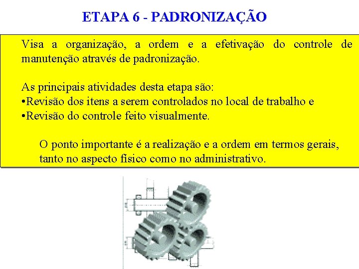 ETAPA 6 - PADRONIZAÇÃO Visa a organização, a ordem e a efetivação do controle