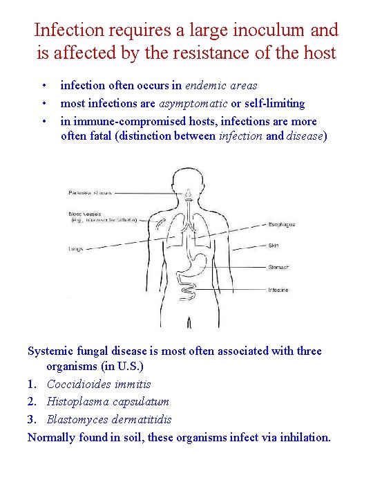 Infection requires a large inoculum and is affected by the resistance of the host