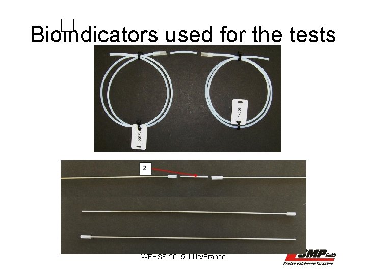 Bioindicators used for the tests WFHSS 2015 Lille/France 