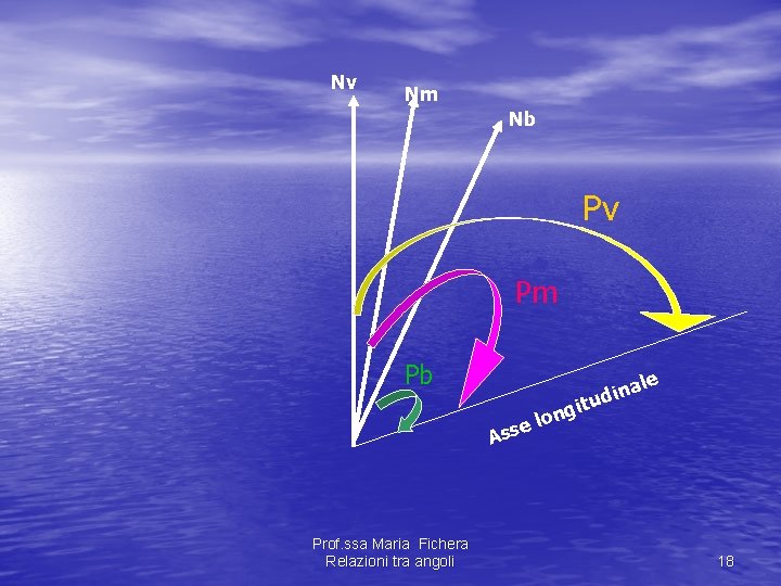 Nv Nm Nb Pv Pm Pb e Ass Prof. ssa Maria Fichera Relazioni tra Nv Nm Nb Pv Pm Pb e Ass Prof. ssa Maria Fichera Relazioni tra