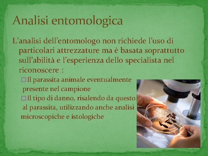 Analisi entomologica L’analisi dell’entomologo non richiede l’uso di particolari attrezzature ma è basata soprattutto