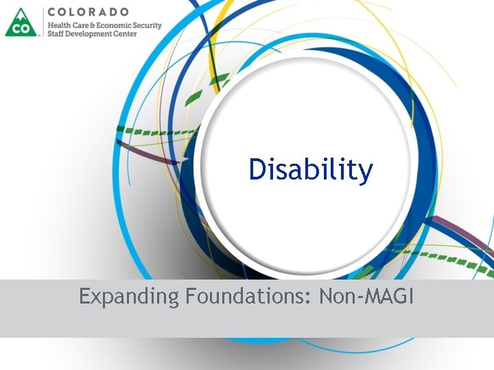 Disability Expanding Foundations: Non-MAGI 