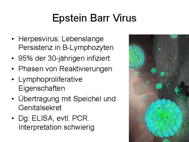 Epstein Barr Virus • Herpesvirus: Lebenslange Persistenz in B-Lymphozyten • 95% der 30 -jährigen