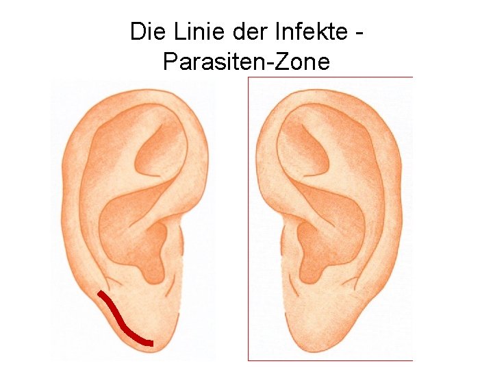 Die Linie der Infekte Parasiten-Zone 