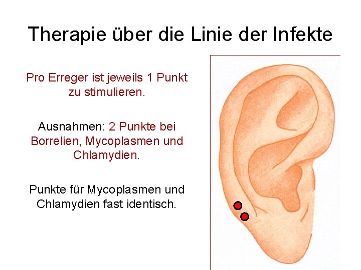 Therapie über die Linie der Infekte Pro Erreger ist jeweils 1 Punkt zu stimulieren.