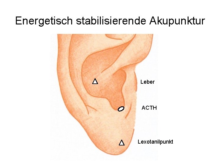 Energetisch stabilisierende Akupunktur Leber ACTH Lexotanilpunkt 