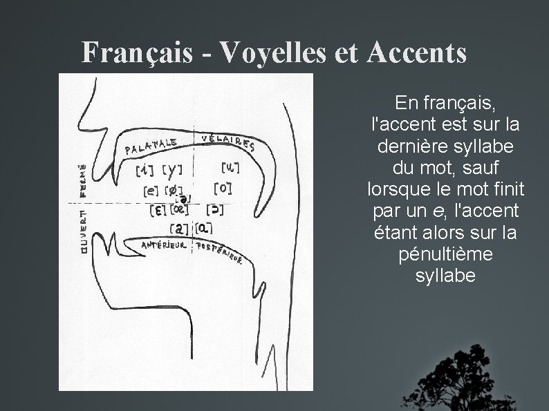 Français - Voyelles et Accents En français, l'accent est sur la dernière syllabe du