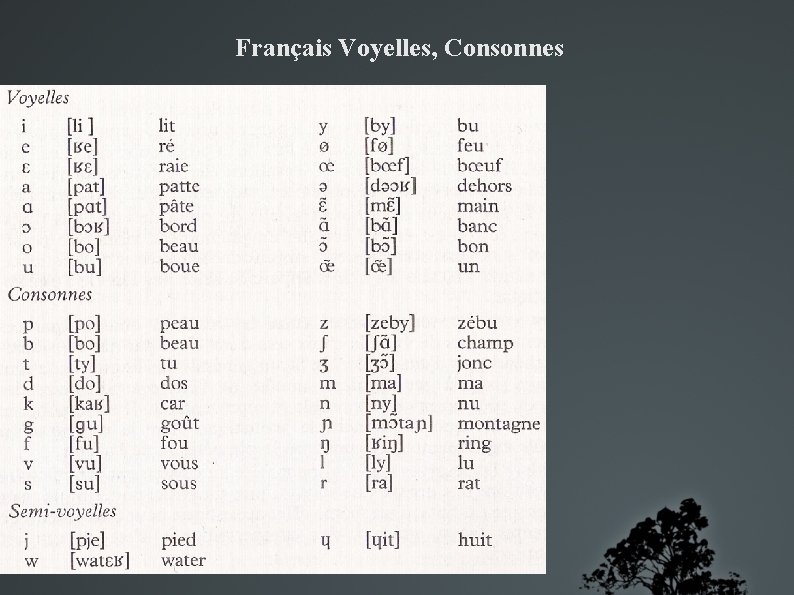 Français Voyelles, Consonnes 