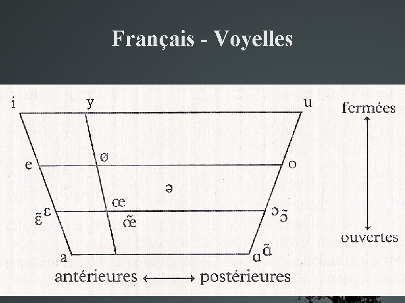 Français - Voyelles 