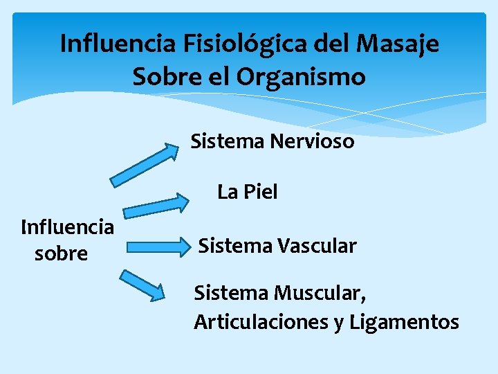 Influencia Fisiológica del Masaje Sobre el Organismo Sistema Nervioso La Piel Influencia sobre Sistema