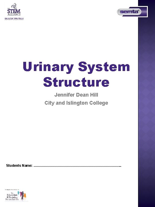 Urinary System Structure Jennifer Dean Hill City and Islington College Students Name: …………………………………. .