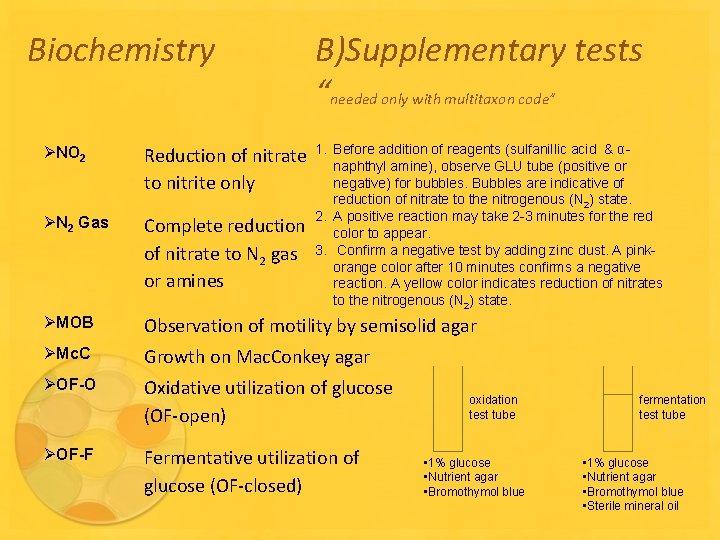 Biochemistry ØNO 2 B)Supplementary tests “needed only with multitaxon code” addition of reagents (sulfanillic