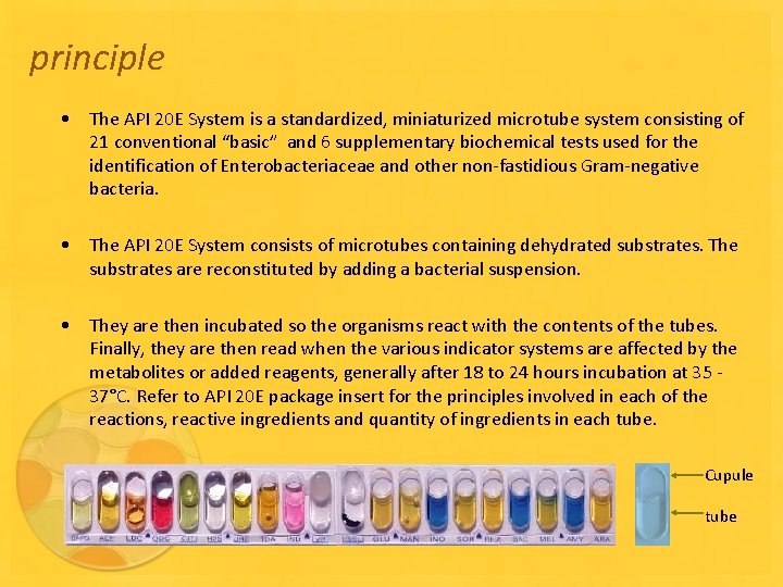 principle • The API 20 E System is a standardized, miniaturized microtube system consisting