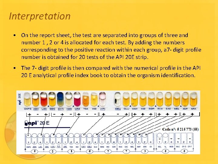 Interpretation • On the report sheet, the test are separated into groups of three