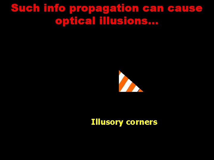 Such info propagation cause optical illusions… Illusory corners 
