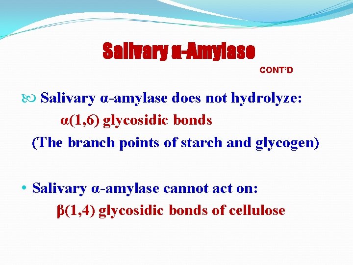 Salivary α-Amylase CONT’D Salivary α-amylase does not hydrolyze: α(1, 6) glycosidic bonds (The branch