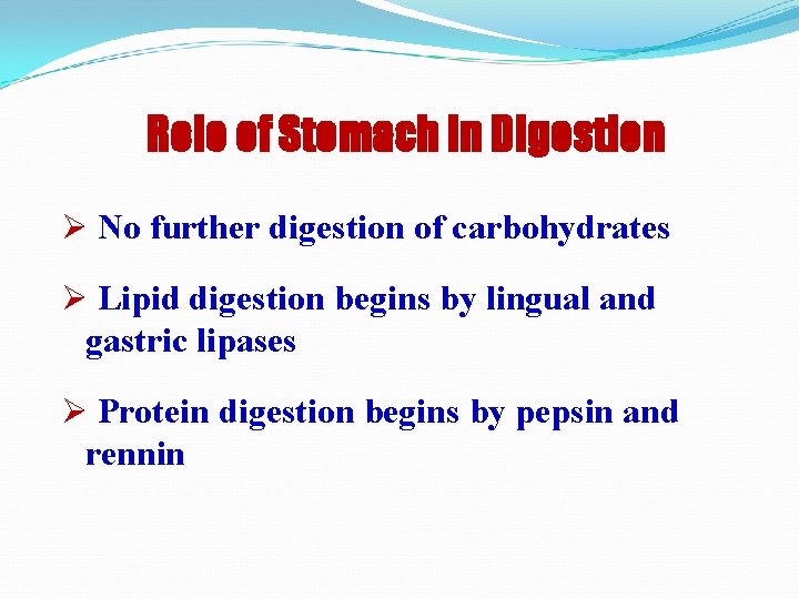 Role of Stomach in Digestion Ø No further digestion of carbohydrates Ø Lipid digestion