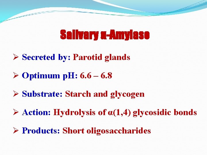 Salivary α-Amylase Ø Secreted by: Parotid glands Ø Optimum p. H: 6. 6 –