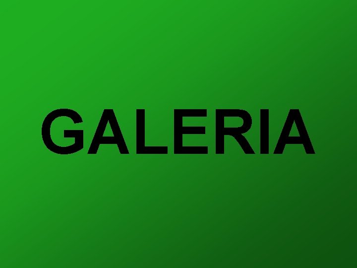 GALERIA 
