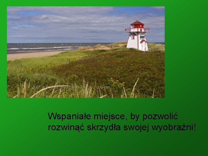 Wspaniałe miejsce, by pozwolić rozwinąć skrzydła swojej wyobraźni! 