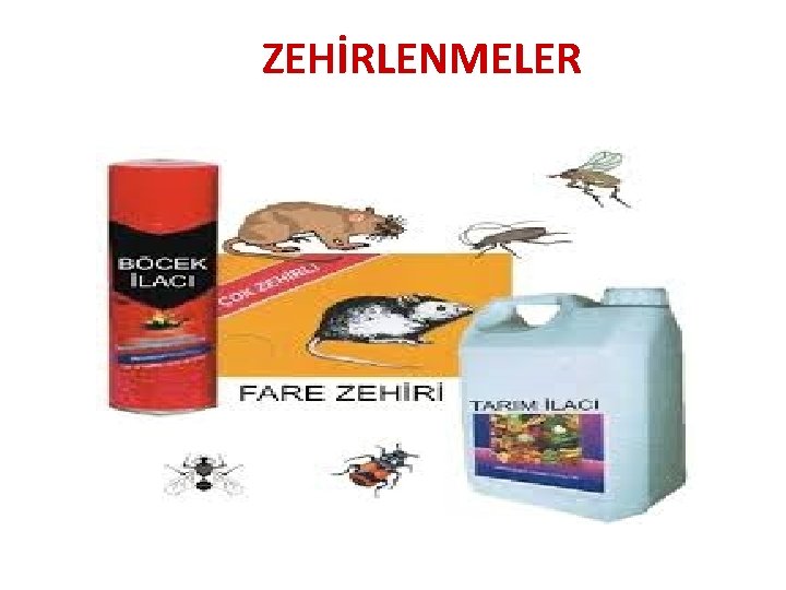 ZEHİRLENMELER 