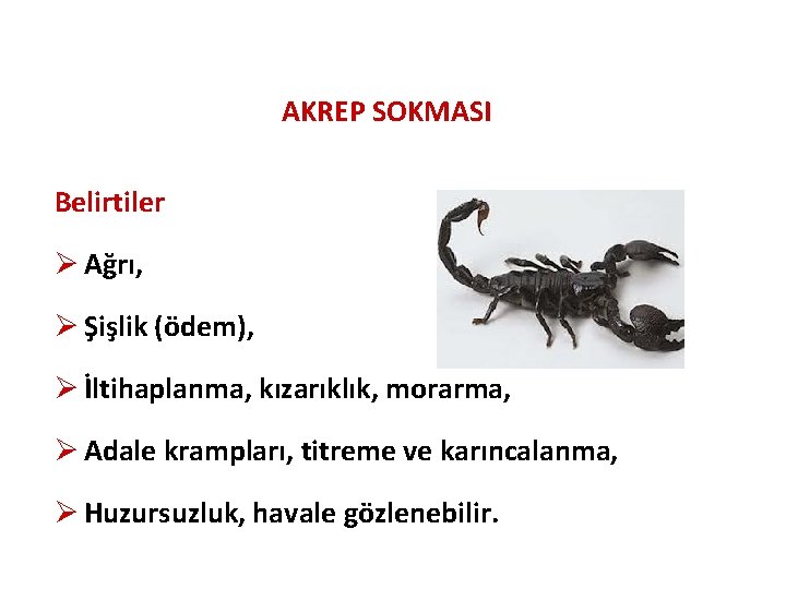 AKREP SOKMASI Belirtiler Ø Ağrı, Ø Şişlik (ödem), Ø İltihaplanma, kızarıklık, morarma, Ø Adale