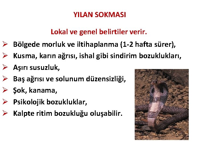 YILAN SOKMASI Lokal ve genel belirtiler verir. Ø Ø Ø Ø Bölgede morluk ve