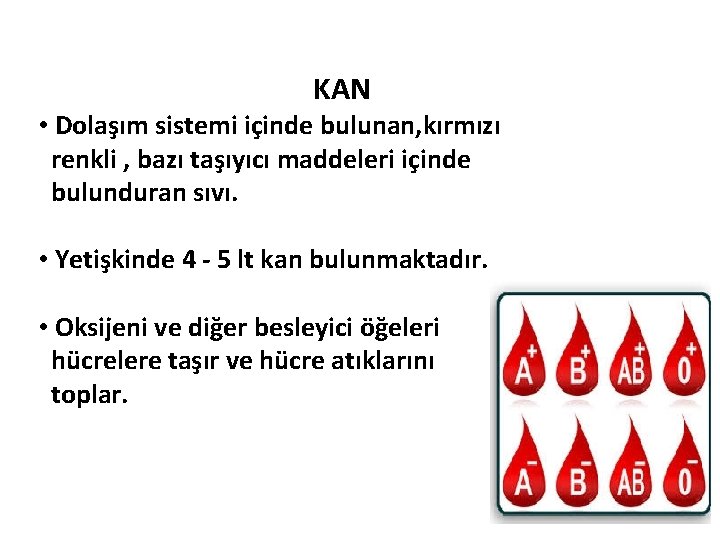 KAN • Dolaşım sistemi içinde bulunan, kırmızı renkli , bazı taşıyıcı maddeleri içinde bulunduran