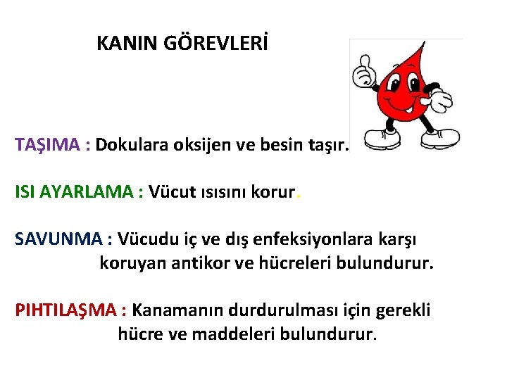 KANIN GÖREVLERİ TAŞIMA : Dokulara oksijen ve besin taşır. ISI AYARLAMA : Vücut ısısını