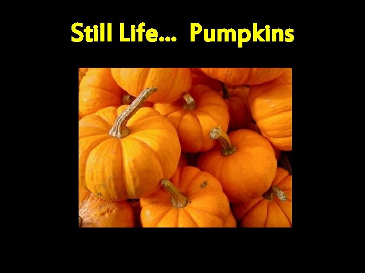 Still Life… Pumpkins 