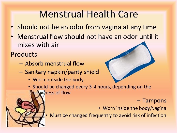 Menstrual Health Care • Should not be an odor from vagina at any time