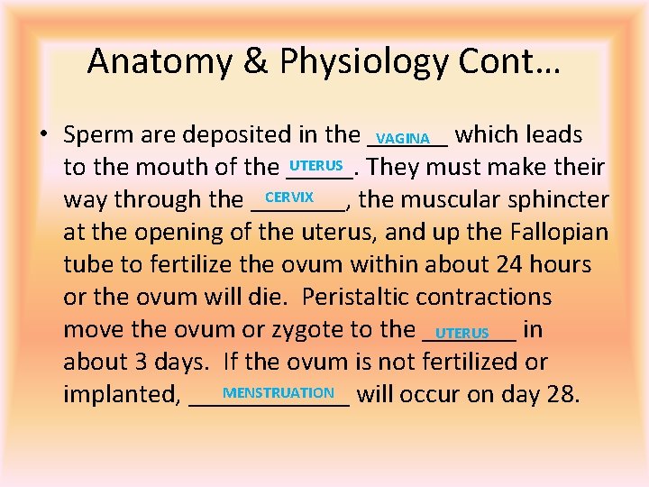 Anatomy & Physiology Cont… • Sperm are deposited in the ______ VAGINA which leads