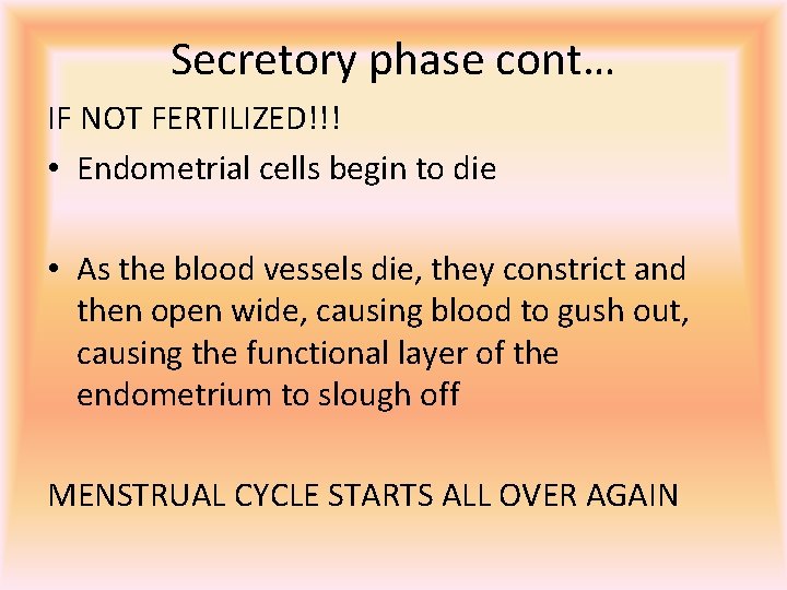 Secretory phase cont… IF NOT FERTILIZED!!! • Endometrial cells begin to die • As
