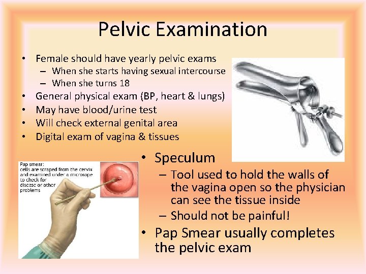 Pelvic Examination • Female should have yearly pelvic exams – When she starts having