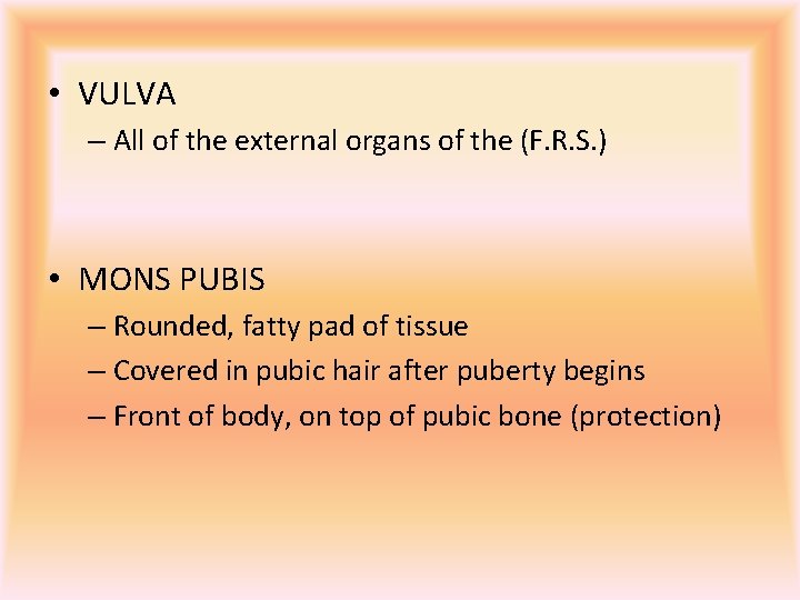  • VULVA – All of the external organs of the (F. R. S.