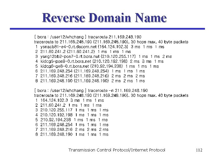 Reverse Domain Name Transmission Control Protocol/Internet Protocol 112 