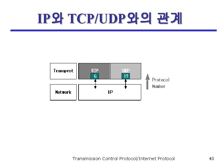 IP와 TCP/UDP와의 관계 Transmission Control Protocol/Internet Protocol 40 