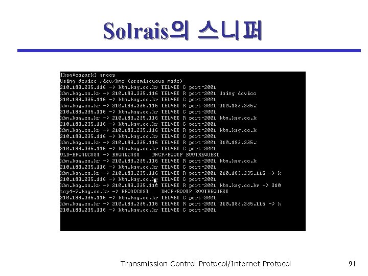 Solrais의 스니퍼 <�� 13> Solrais� ��� Transmission Control Protocol/Internet Protocol 91 