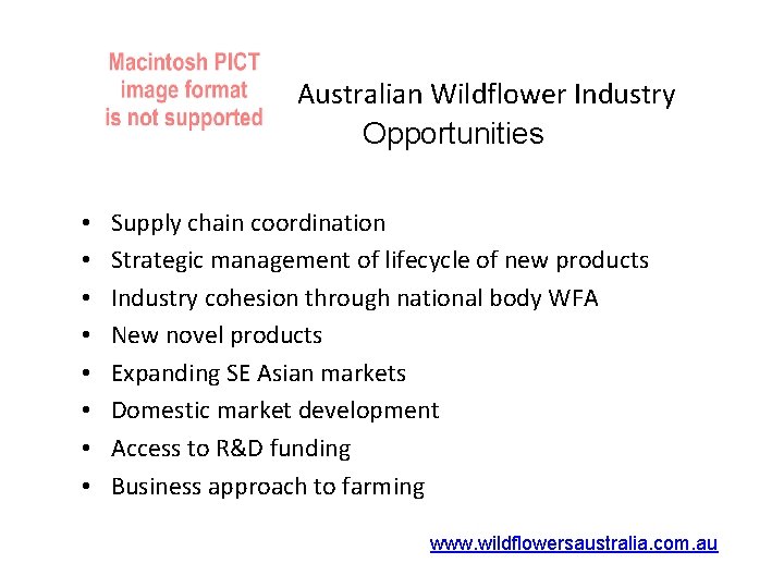 Australian Wildflower Industry Opportunities • • Supply chain coordination Strategic management of lifecycle of