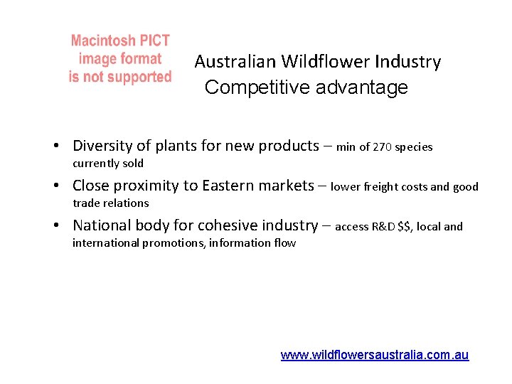 Australian Wildflower Industry Competitive advantage • Diversity of plants for new products – min
